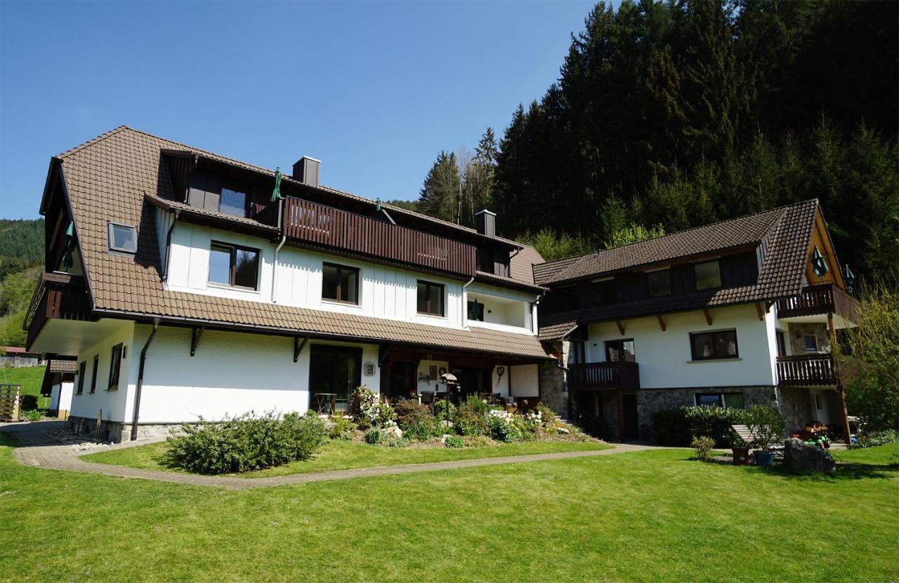 Hoellkopf - Stubenhof, Black Forest Simonswald Εξωτερικό φωτογραφία