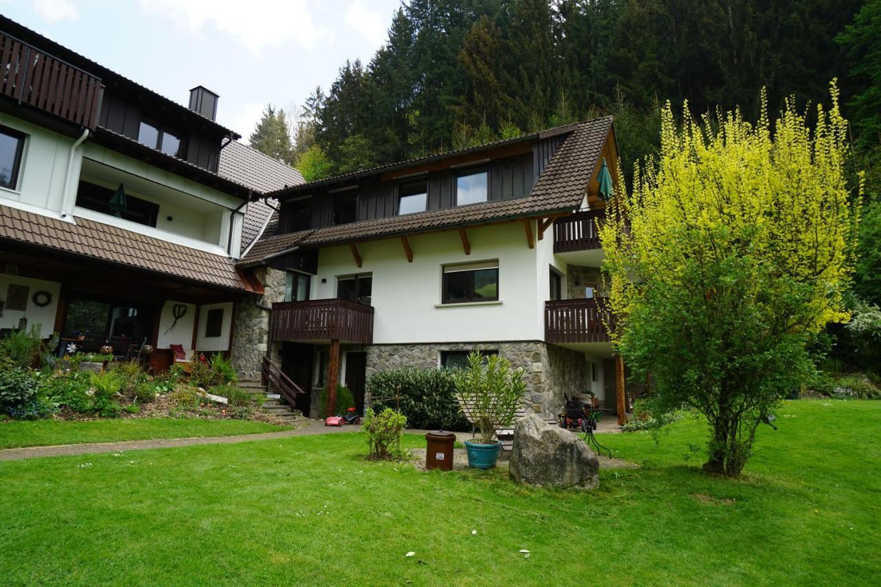 Hoellkopf - Stubenhof, Black Forest Simonswald Εξωτερικό φωτογραφία